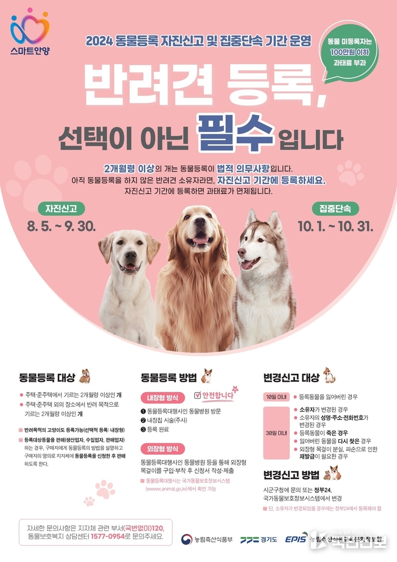 안양시_동물등록자진신고_포스터.