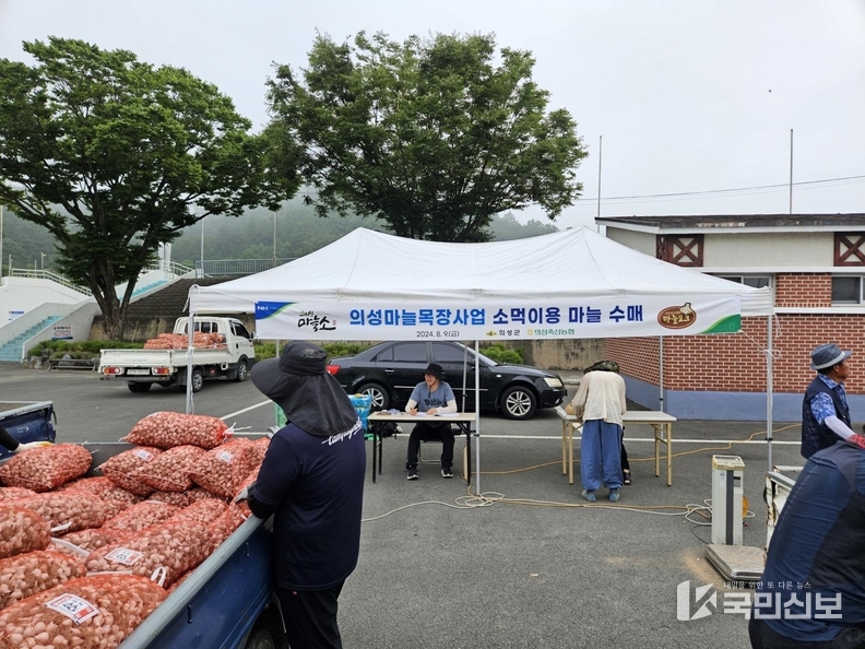 의성군제공의성마늘수매.