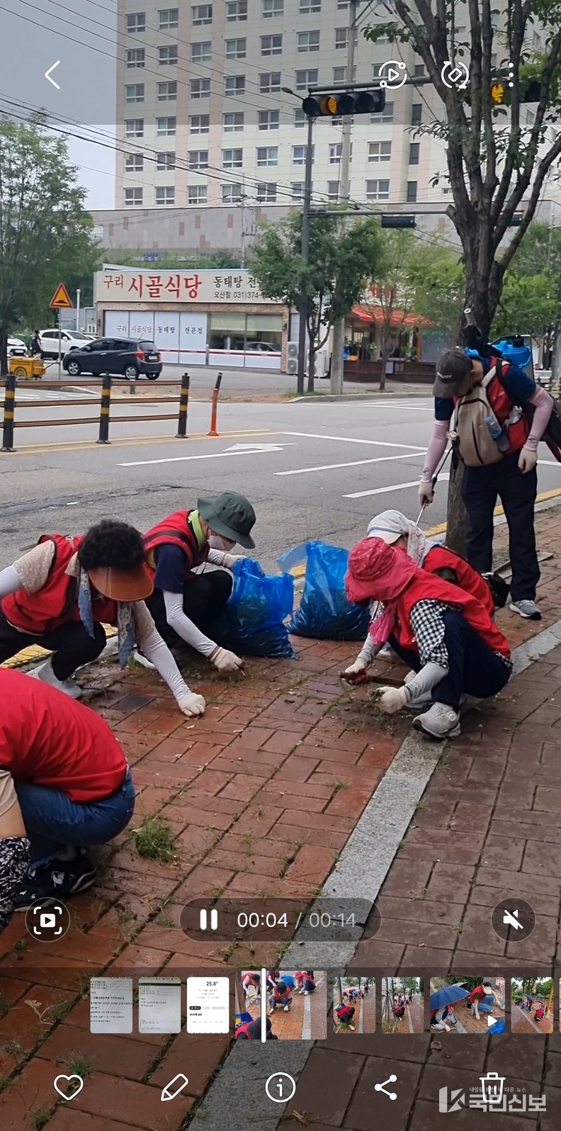 폭우로 무성하게 자란 도로변 잡초를 제거하는 봉사활동을 펼쳤다.<br>