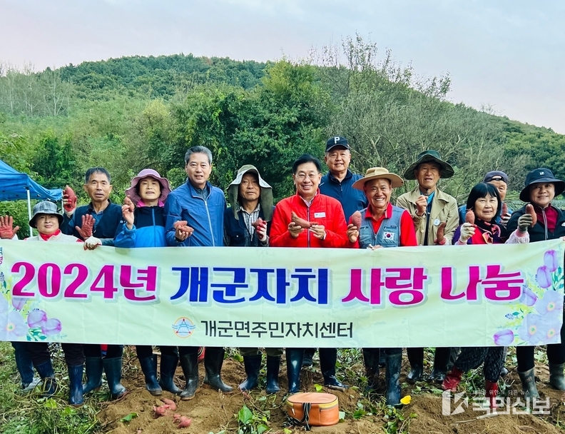 개군면주민자치위원회 사랑나눔 고구마 수확 실시.