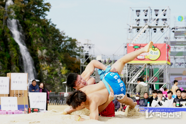 청송사과의 끝없는 비상 _제18회 청송사과축제_ 연일 수많은 관광객들로 북적-황금사과배 전국고교장사씨름대회