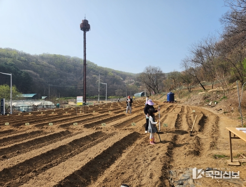 주말농장.