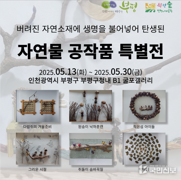 인천나비공원, 부평구청 굴포갤러리에서 특별전 개최.