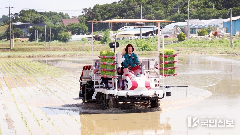 지역특화육성 품종 수찬미 모내기 행사.