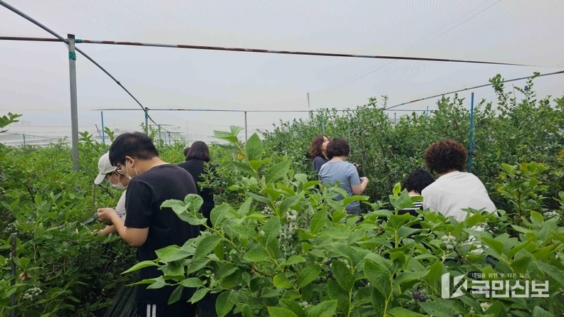 자연농장체험.