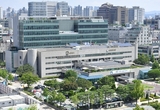 수원로컬푸드직매장, 27일까지 경기도 농수산물 할인쿠폰 지원 행사